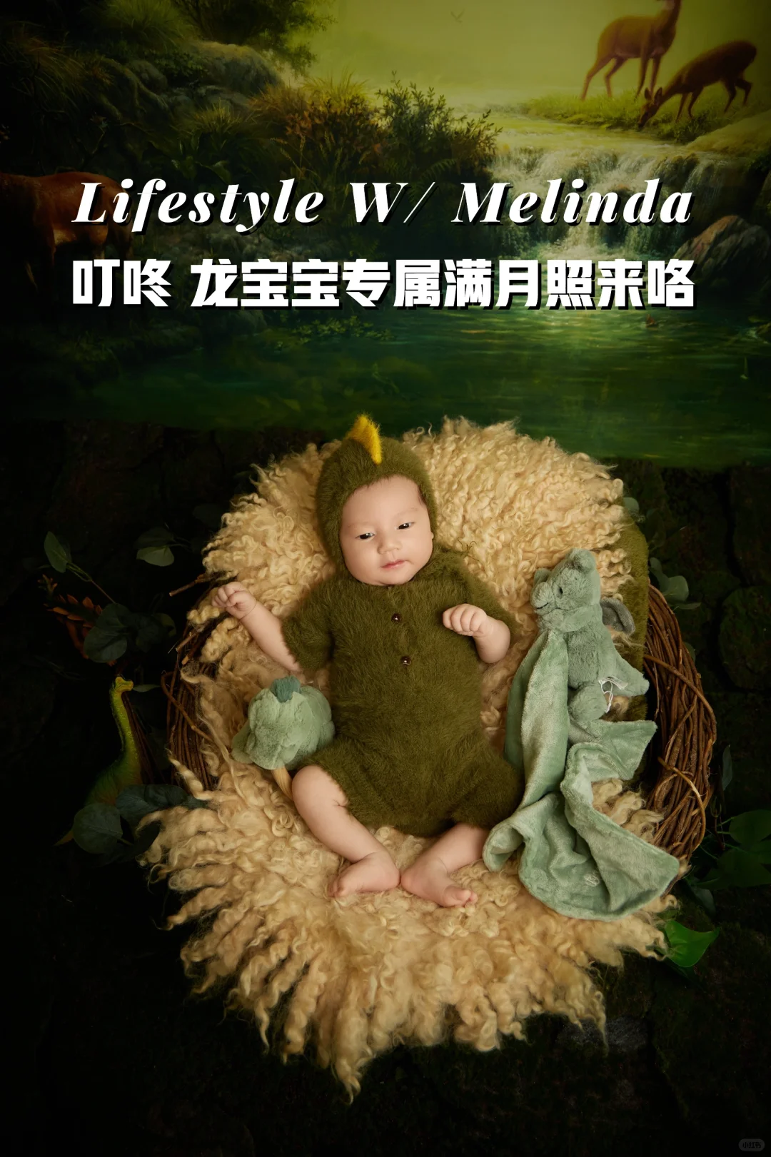 上海满月照｜叮咚🦖来一份森系的小龙宝🌿