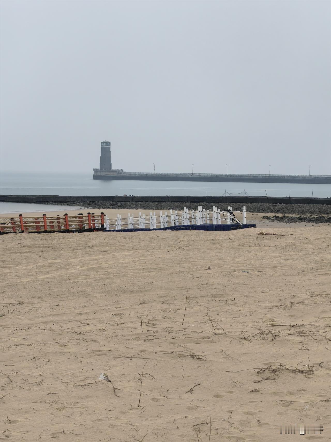 今上午天气雾蒙蒙的，去海边溜达一圈，今冬不冷，海鸥很多，露出的礁石上布满绿油油的