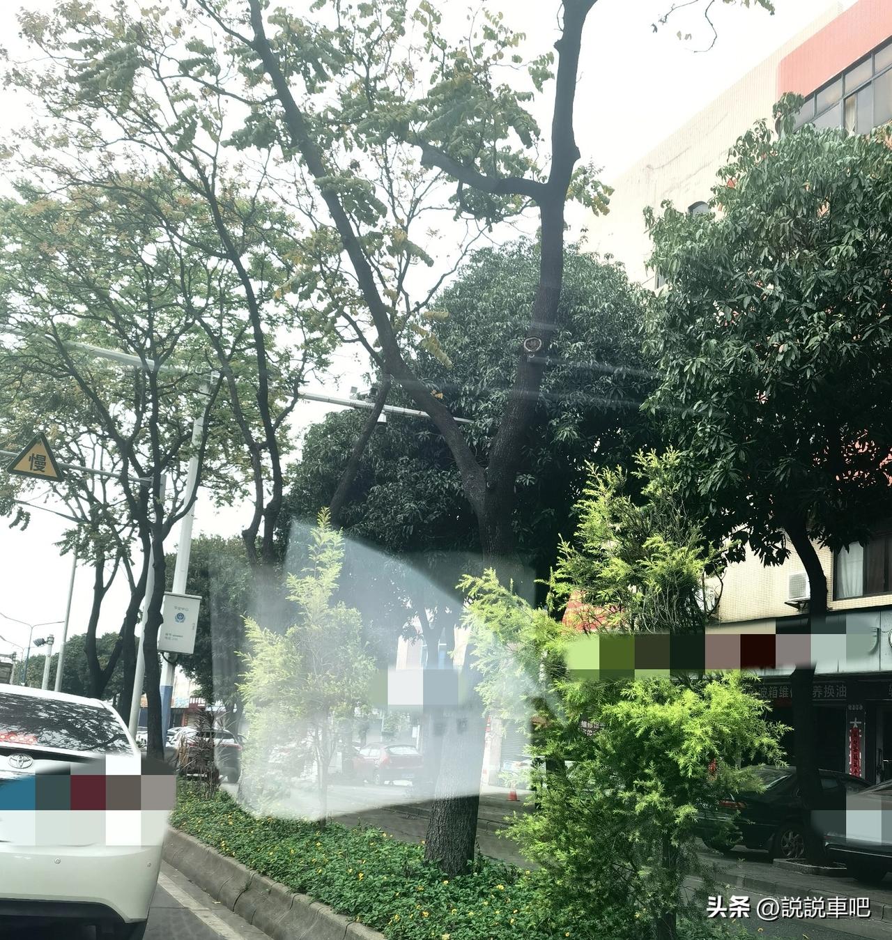 今天给刚拿驾照的新手兄弟姐妹们，分享一段行车注意事项，记好了这几句，会少走些弯路