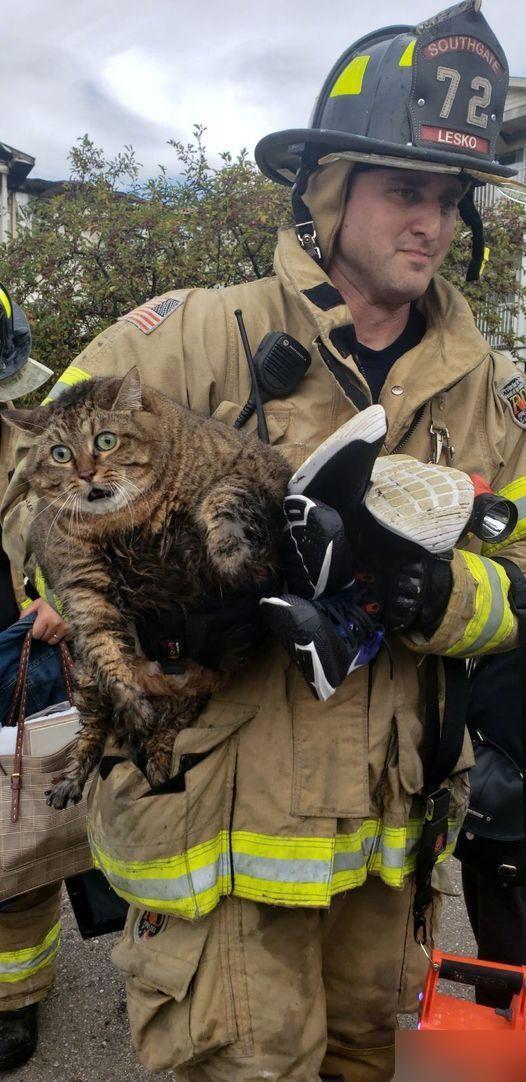 【抢救胖胖】去年10月，美国密西根的消防队员从火场抢救了一只胖猫咪。