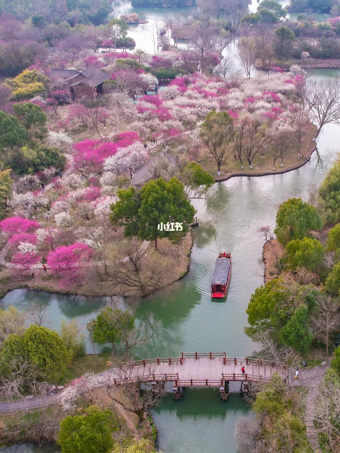 刚从西溪湿地回来‼听听我的真实感受😭