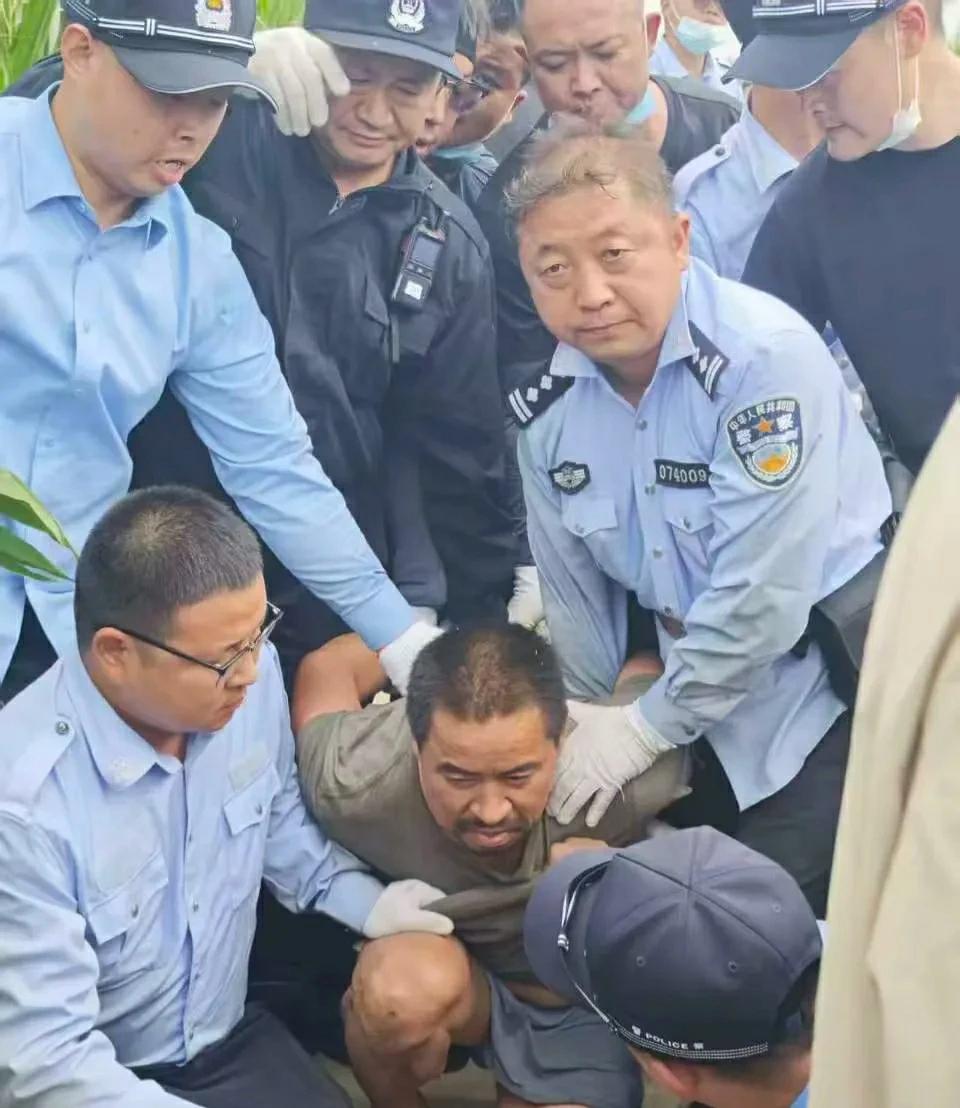 以实锤！