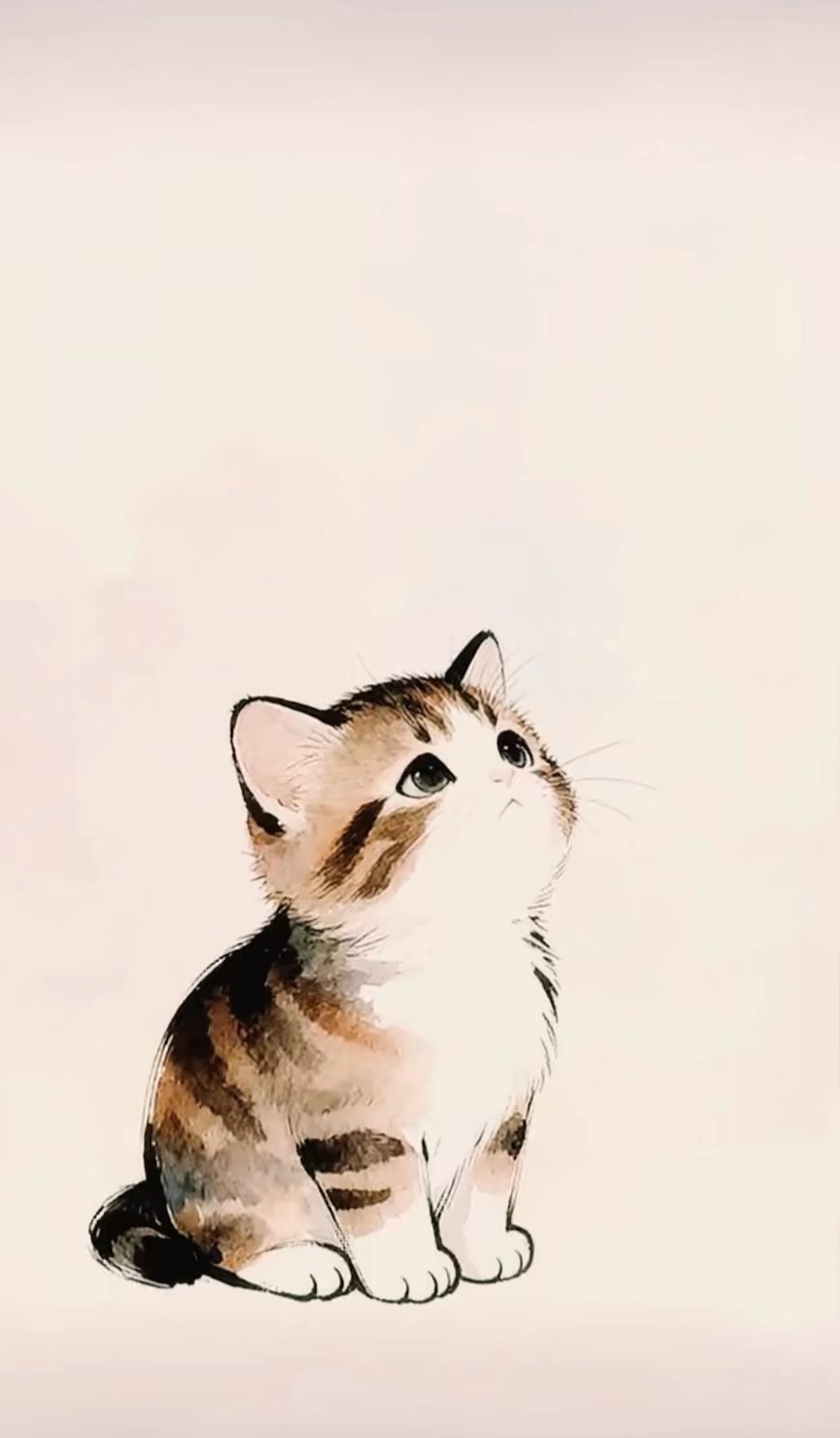用猫猫做头像你喜欢吗？ 