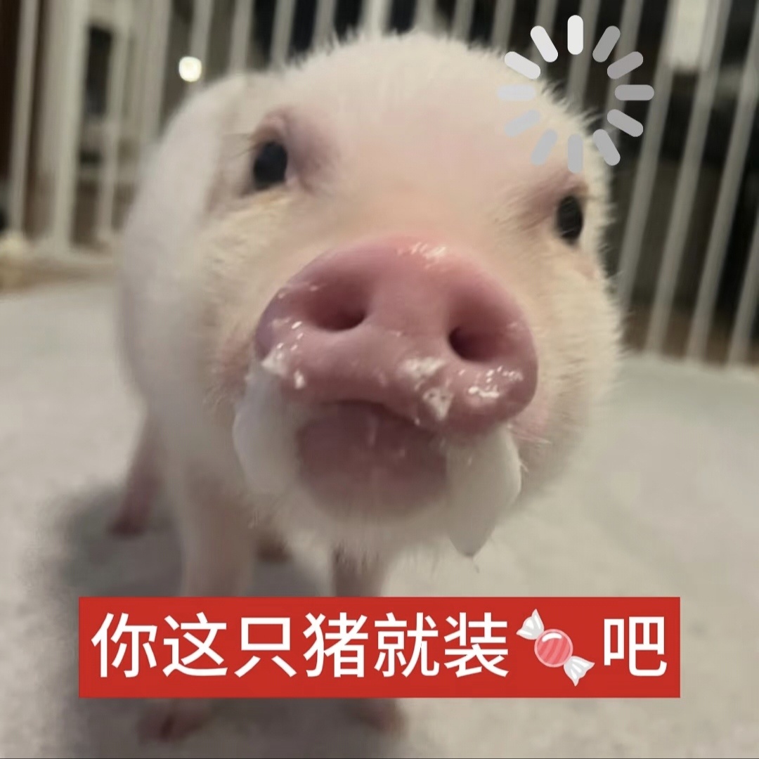 今天太热了空气都热烘烘的以为是我敏感了，看了一天深圳气温33°的分析，我想说现在