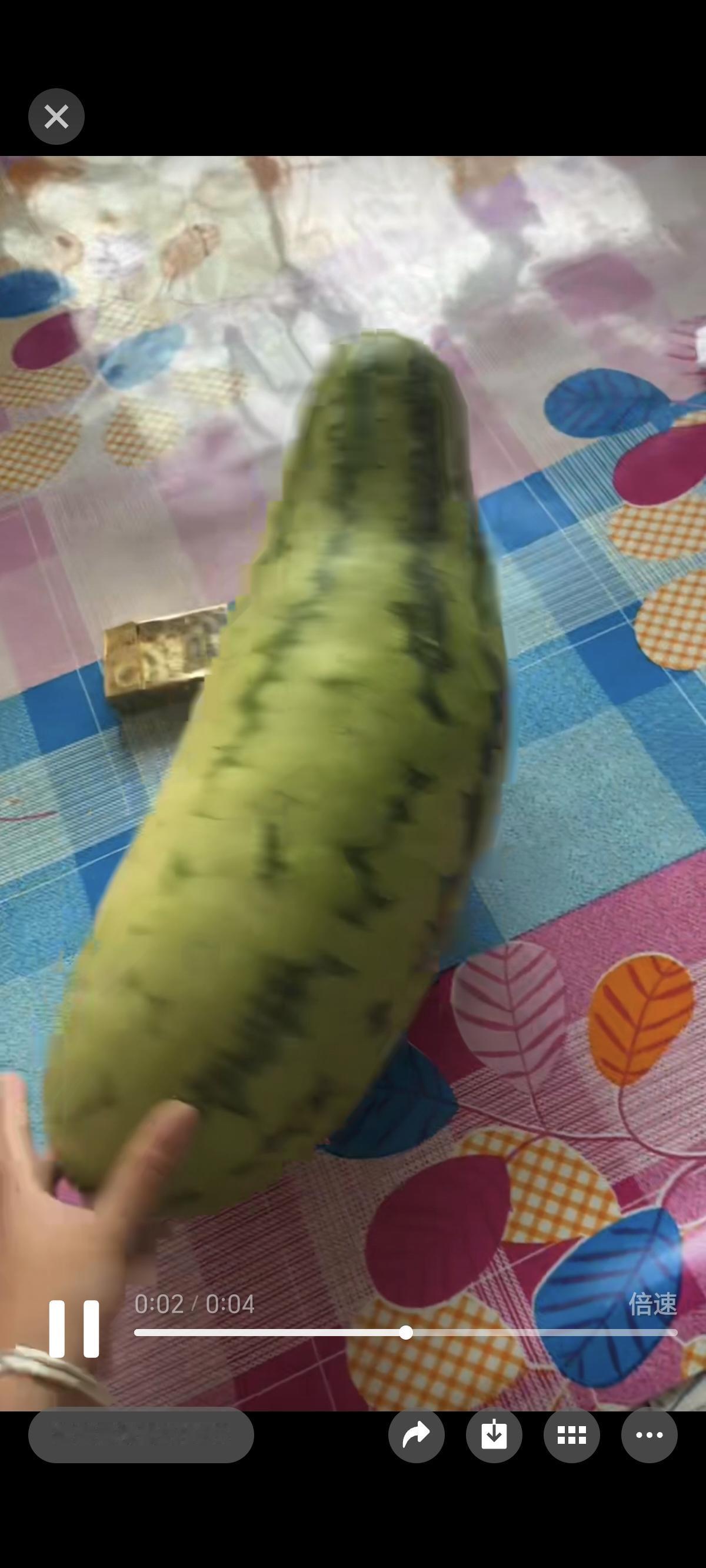 某些人还不如个西瓜，看这西瓜瘦身瘦得多成功，某些人瘦一顿还是个冬瓜。家族群里，表