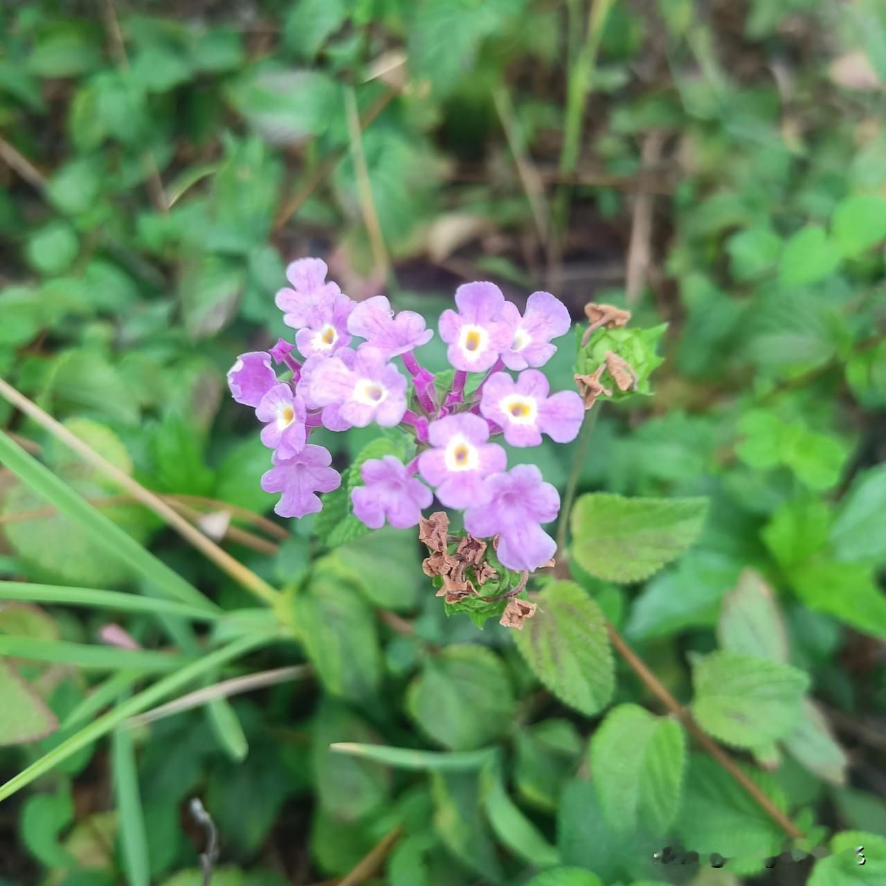 新的一天，愿你有好心情，好运气，事事顺利！
分享我的今日感悟