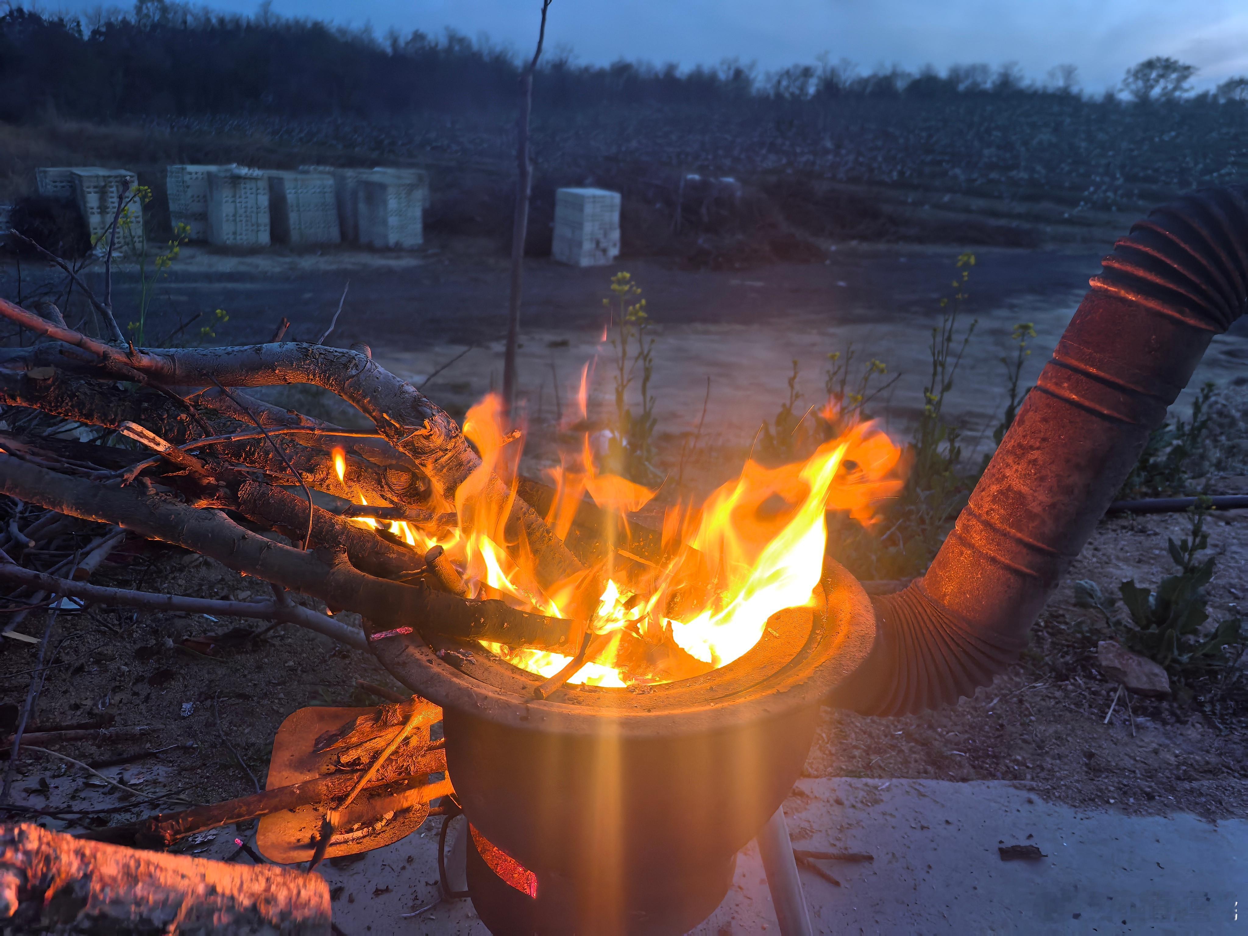 向阳而生，聚焦，笃定 