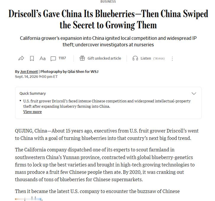 有读者问那篇华尔街日报关于蓝莓种植在中国如何从外商高度重视引进扶植到最后普及种植