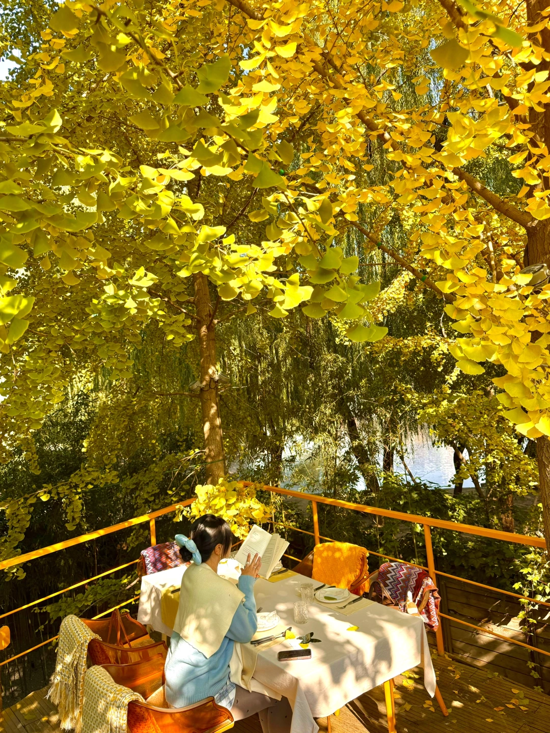 Live图🍁感受北京这场盛大的秋！附日历🍂