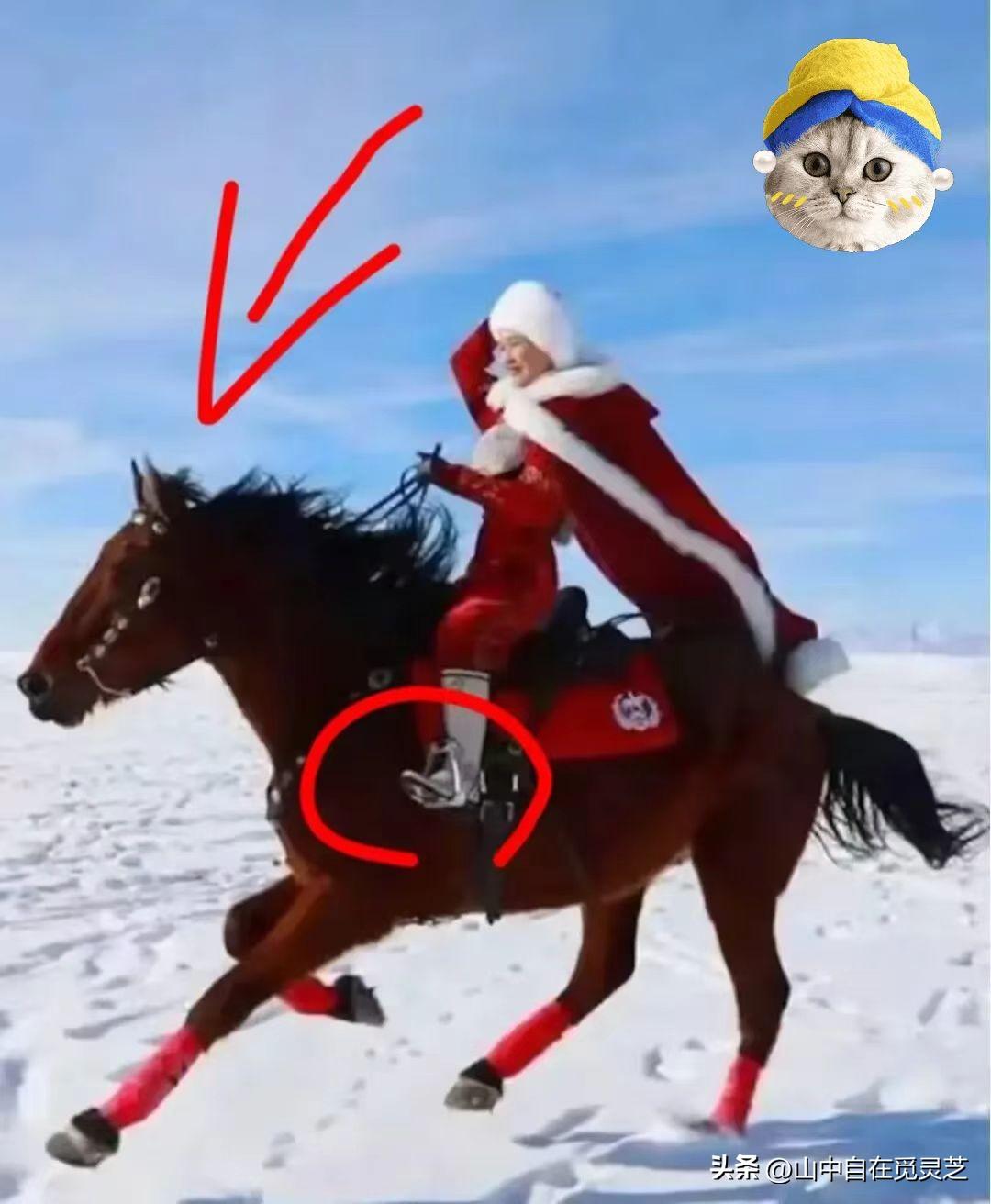 细节真的骗不了人！
不信你看这张图，
她平常的骑马的习惯，居然马蹬的习惯，居然马