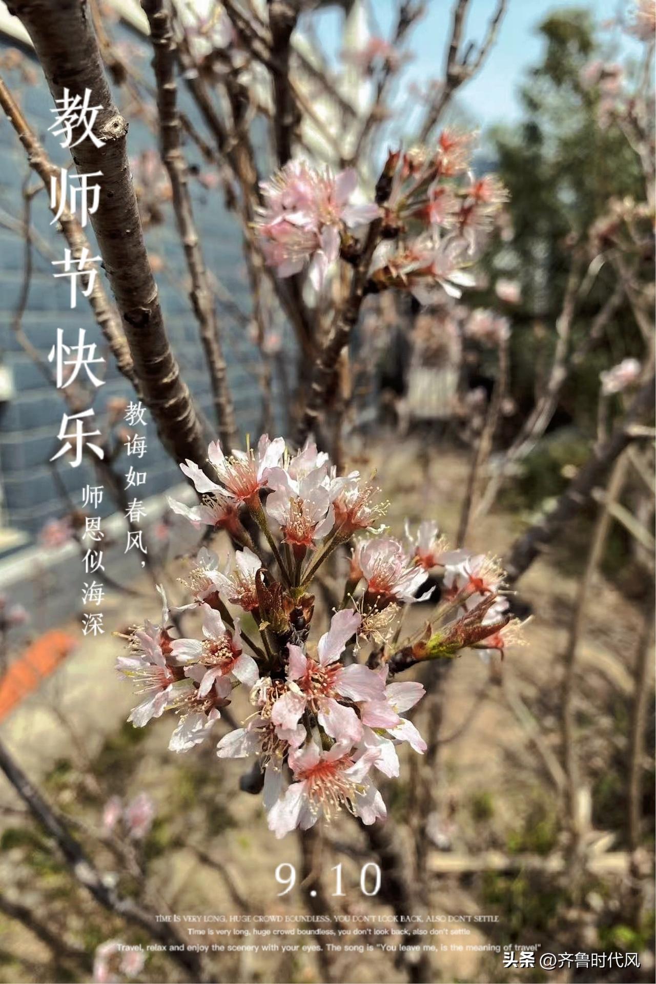 ＃生生世世桃花潭＃
桃花潭水深千尺
不及 汪伦送我情
桃花潭美景造世
李白诗举世