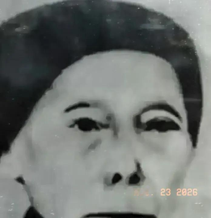 1933年，为了护住那个正在被搜捕的人，农妇指着炕上流着口水的傻弟弟，硬着头皮对