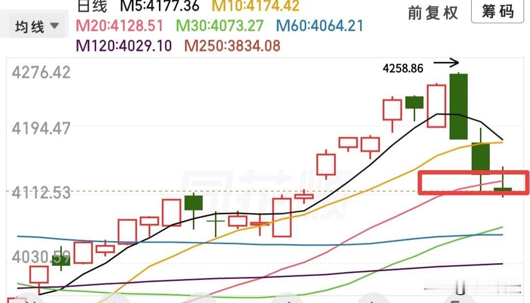 不要急，先看看再说，不知道是不是空仓的原因，看着短剧，不知道什么时候睡着了，刚睡