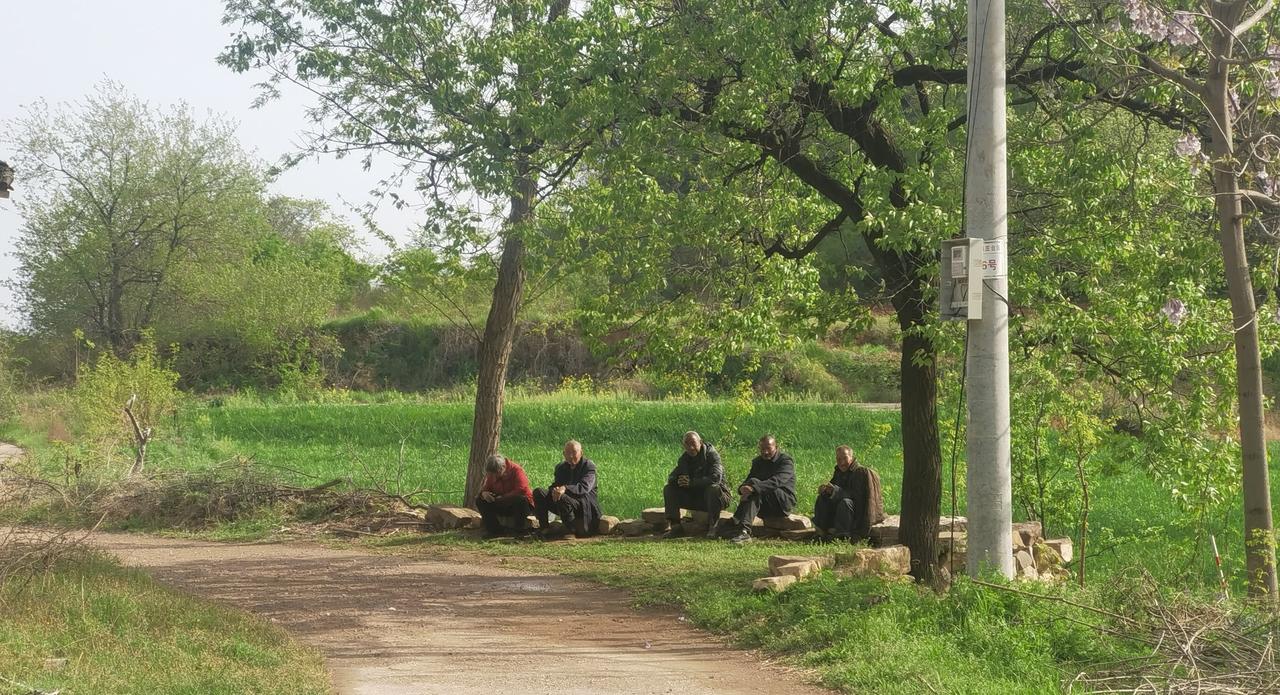 北方的空心农村中，孤独的老人们守护着祖祖辈辈传下的家园，耕种着几亩贫瘠的田地。年