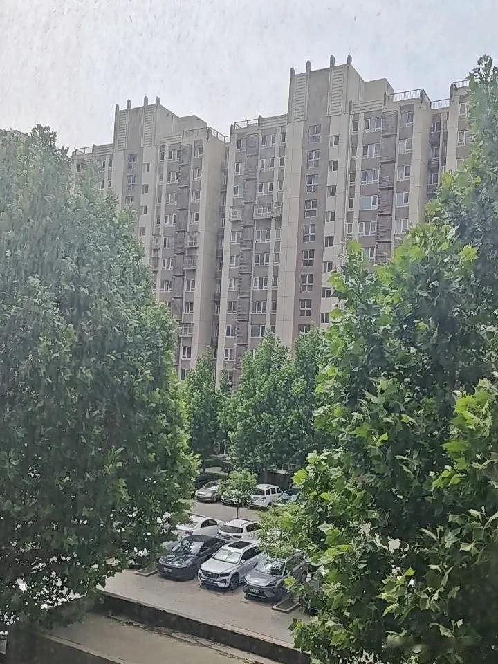 多数时候
没有选择
你想安静
需要看孩子
你想看孩子
孩子不结婚
所以你只能安静