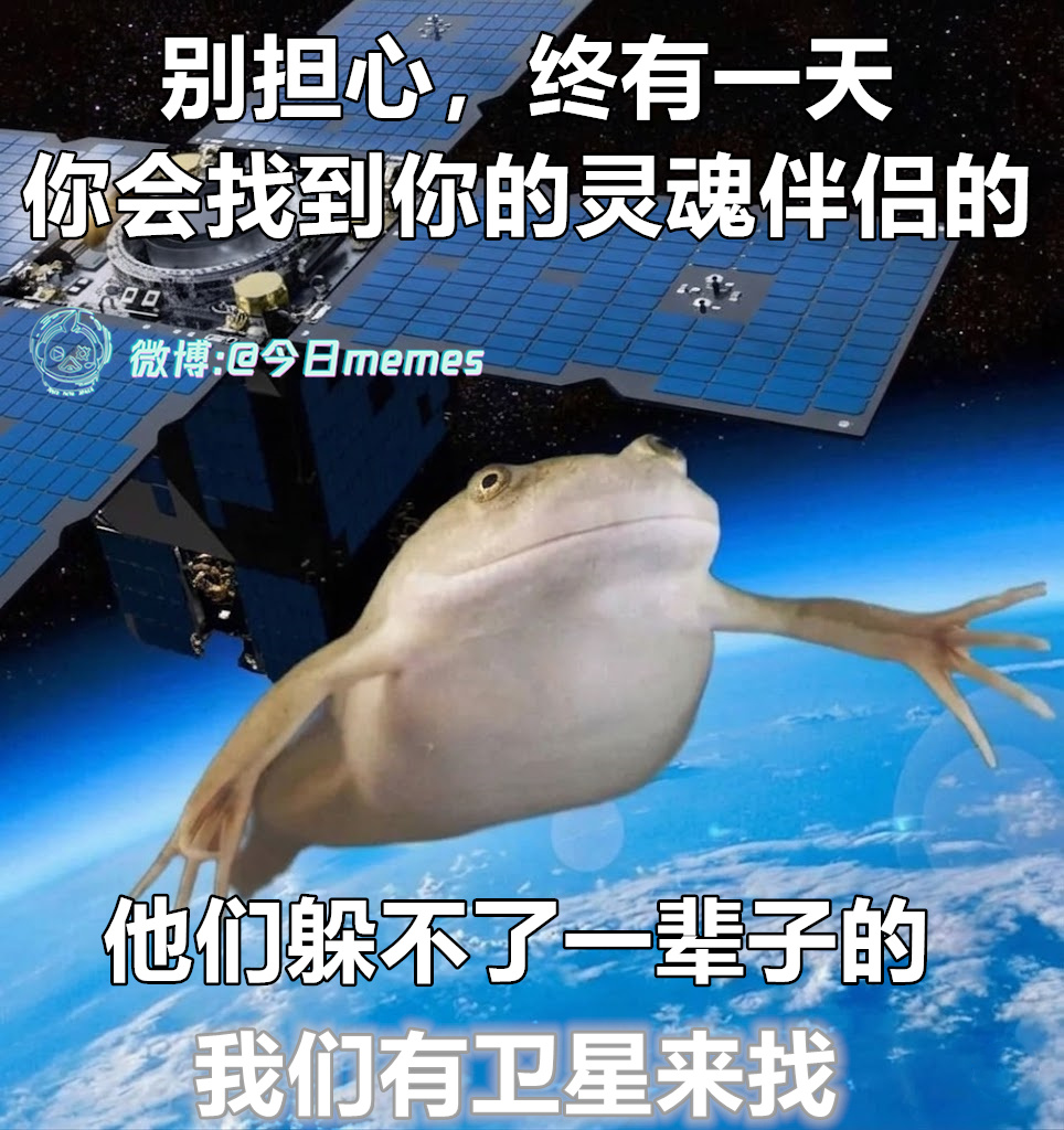 无处可逃（9gag）今日meme 今日memes
