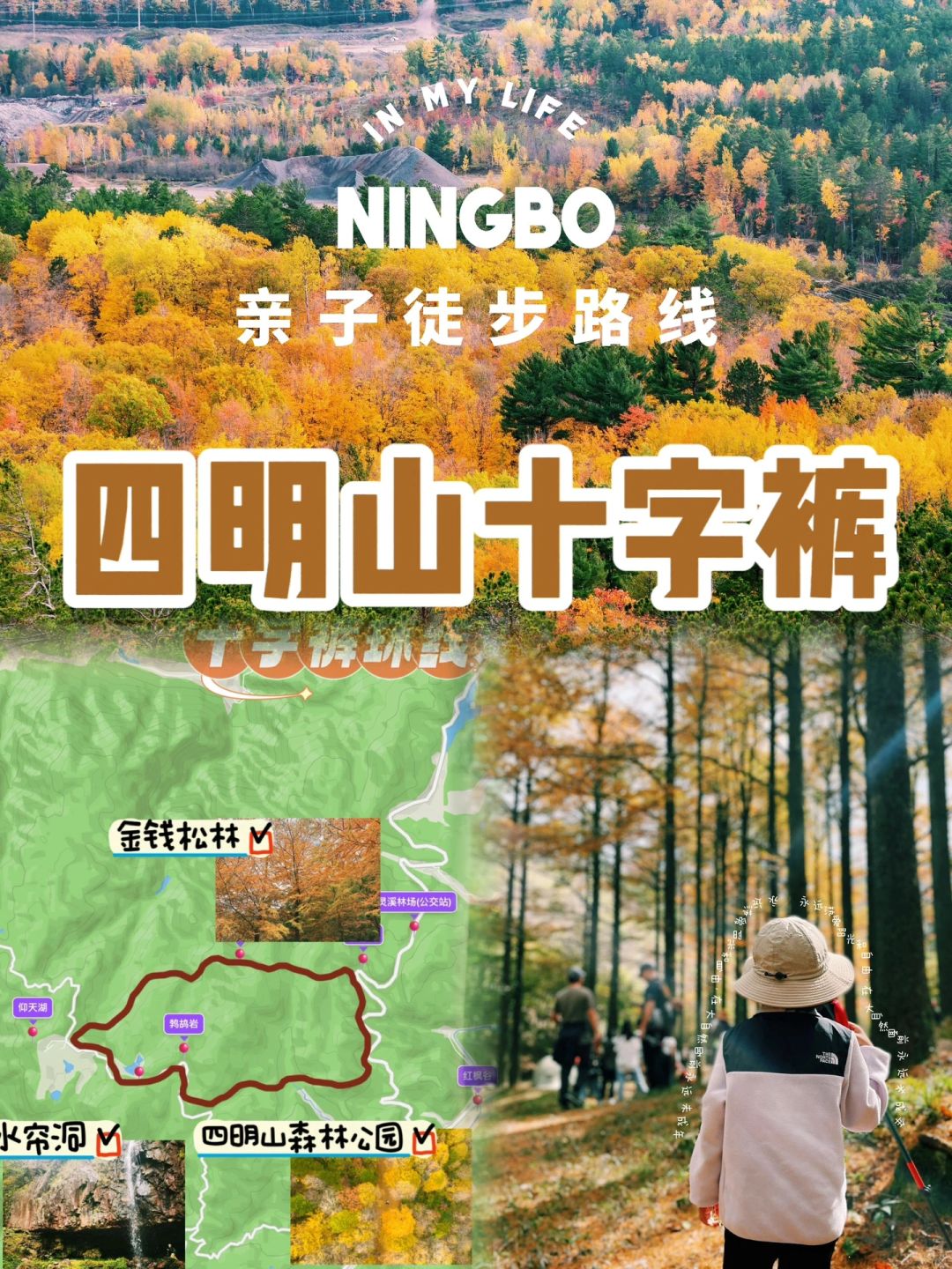 上海周边赏秋｜四明山🍂亲子徒步踏秋实测