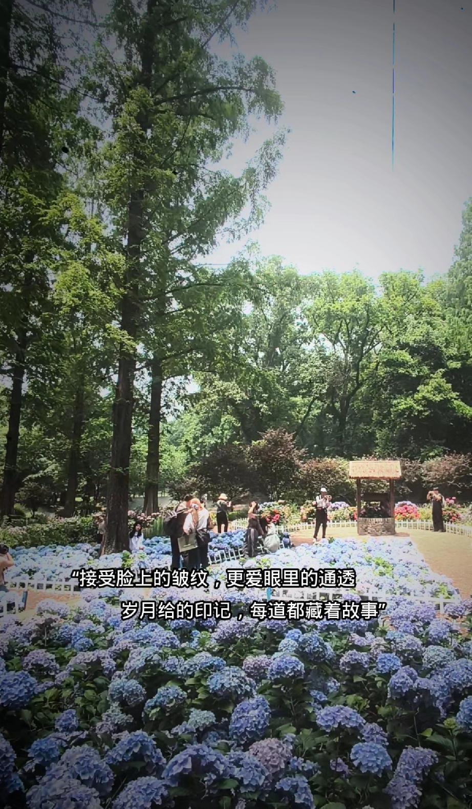 就像回忆里，阿嬷在小院教晓伟分辨番茄，把日子分成“有饭吃”和“没饭吃”，用简单道