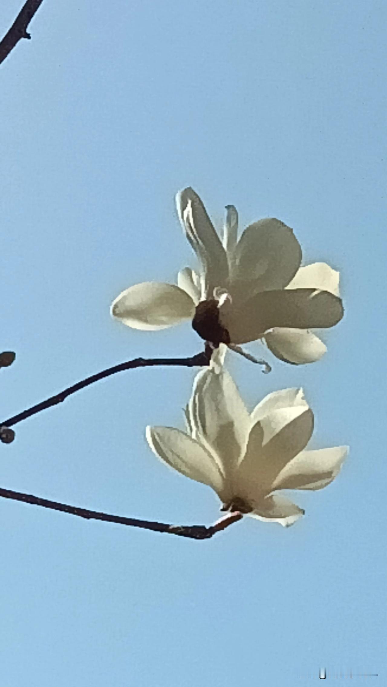 三言两语

环境改造人一点也不假。好的环境可以让人自立自强奋发有为，差的环境使人