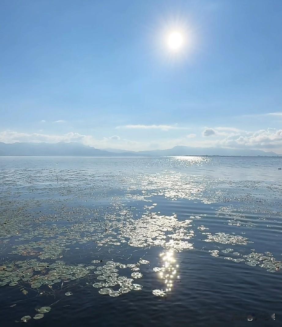 随和是素质，
低调是修养，
良心是底线，
人品是江湖，
相处靠真心，
深交靠人品