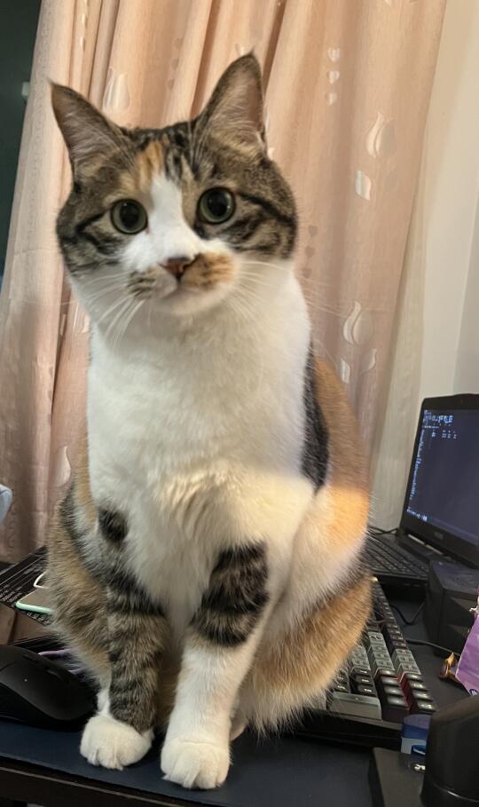 人，醒了吗