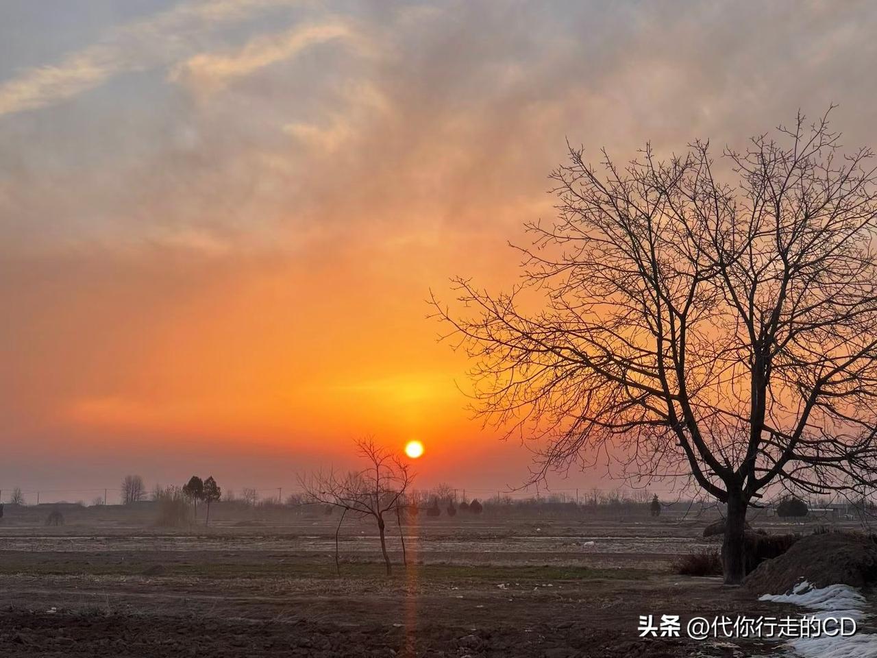 夕阳西下，枯藤老树无昏鸦