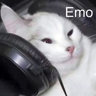 李儒畅谈小姐姐