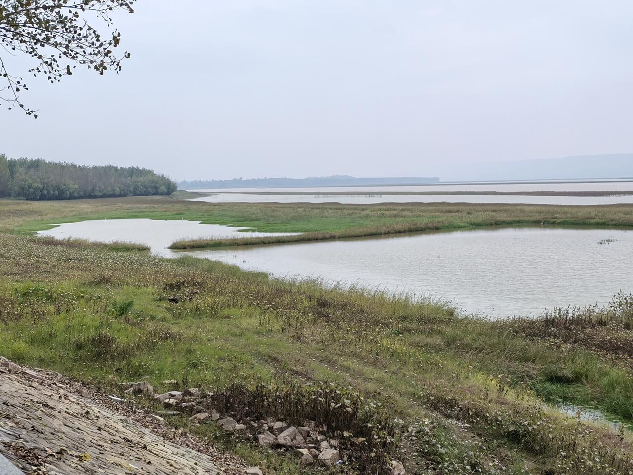 这次三门峡之行，只逛了地坑院和黄河湿地，遗憾没去虢国博物馆。
很多人不知道，三门