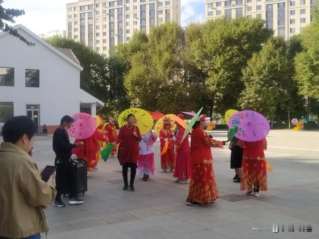 赤峰植物园每天下午都会有两个老年秧歌队表演，这些老年人扭得特别开心，他们既锻炼了