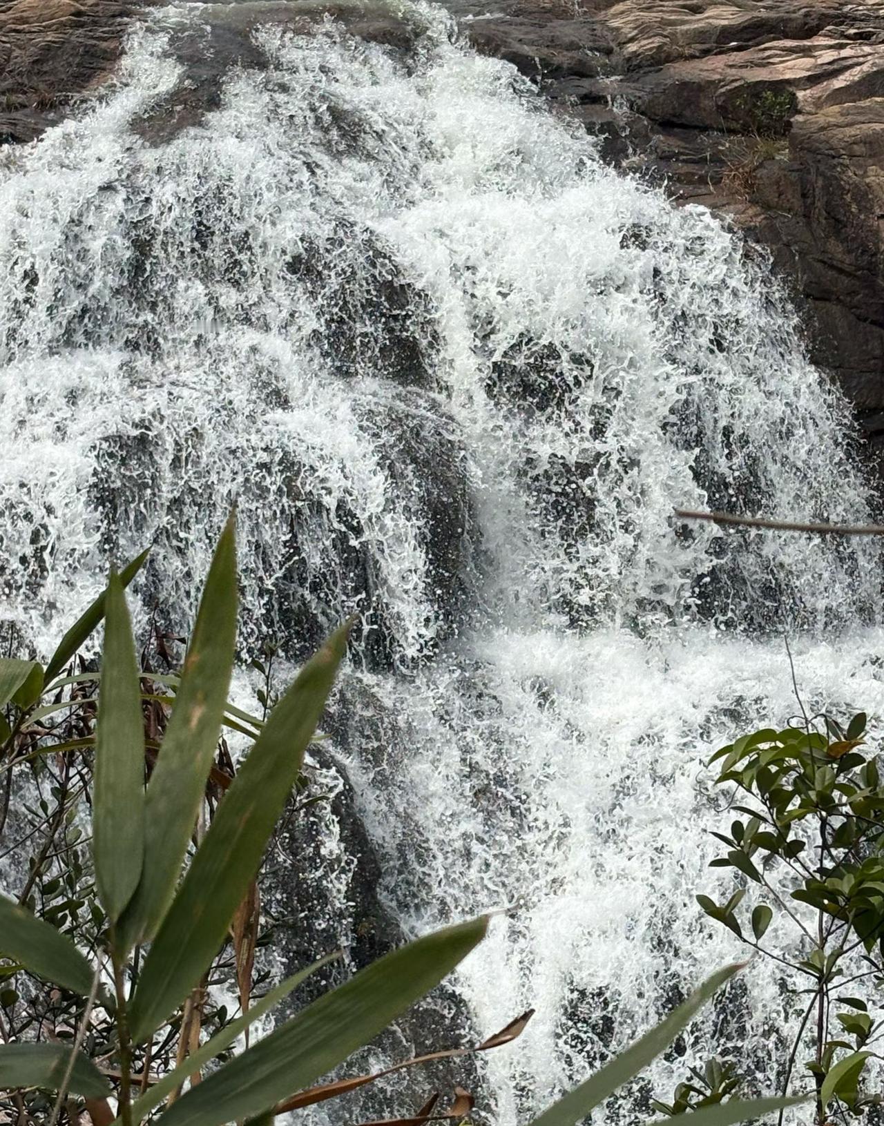 有没有一张随手拍是你的满意之作