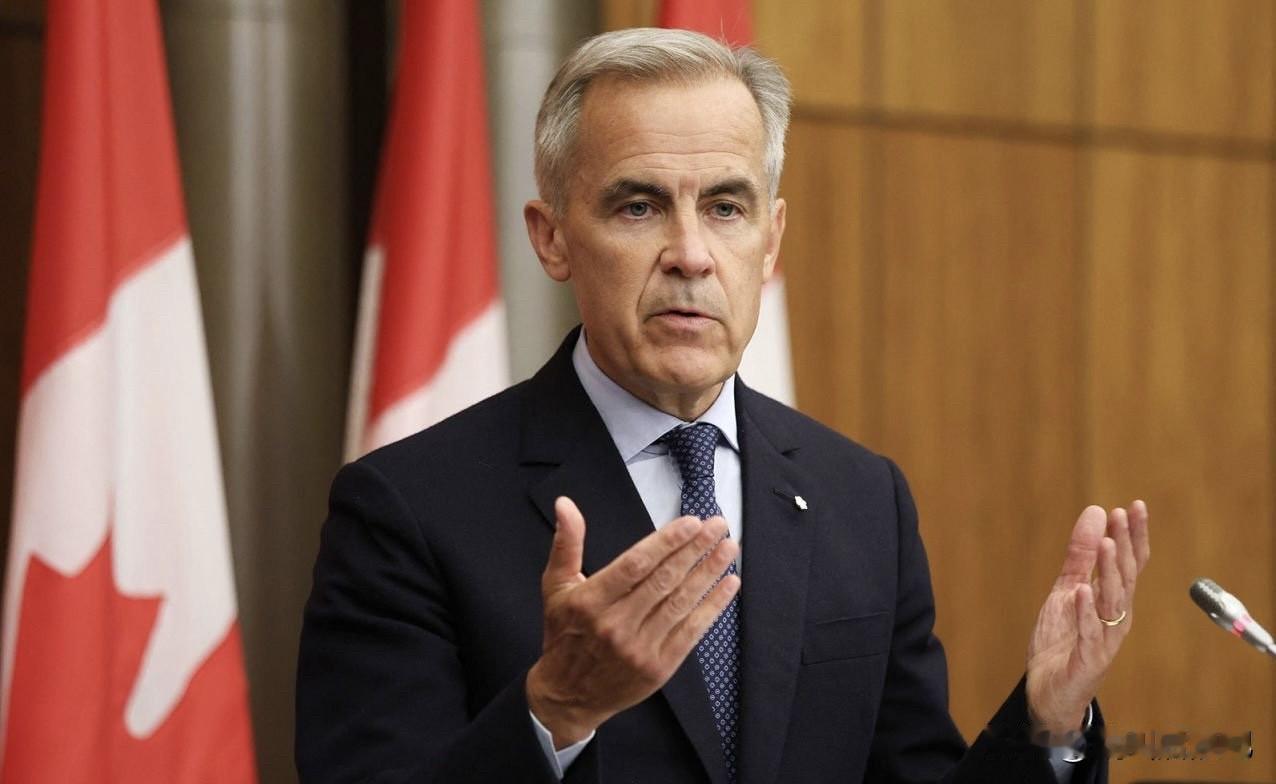 加拿大总理马克·卡尼表示，反对任何国家通过武力改变现有边界，呼吁俄罗斯与乌克兰在