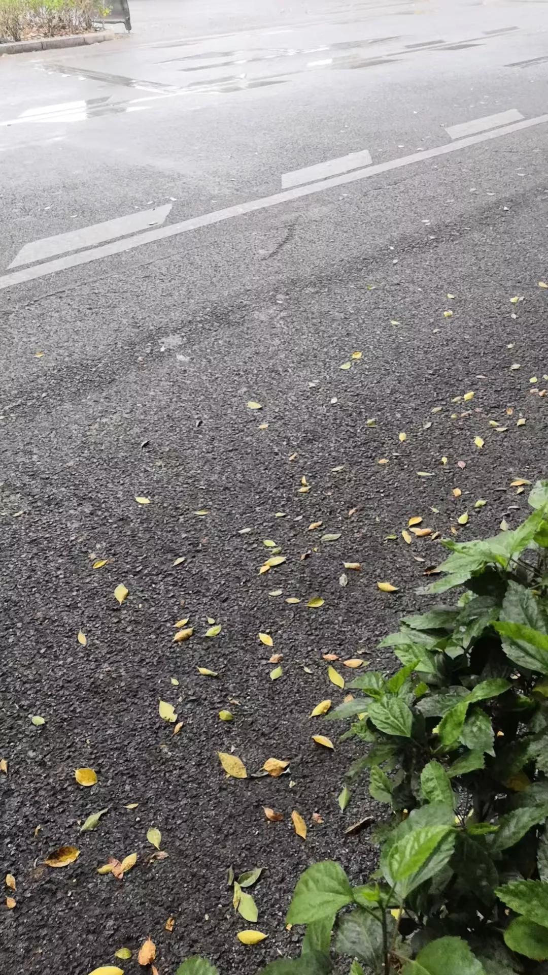 通告全网，广西终于下雨了，南宁终于下雨了，今天你那里下雨了吗？