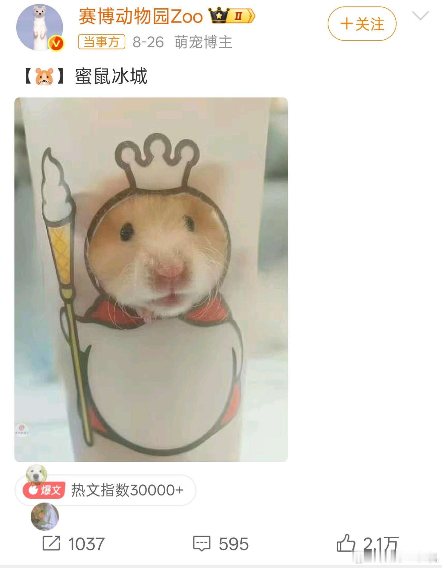 蜜雪冰城回应网友玩梗蜜鼠冰城其实昨天看到觉得还挺可爱的，不会往不好的方向去想，如