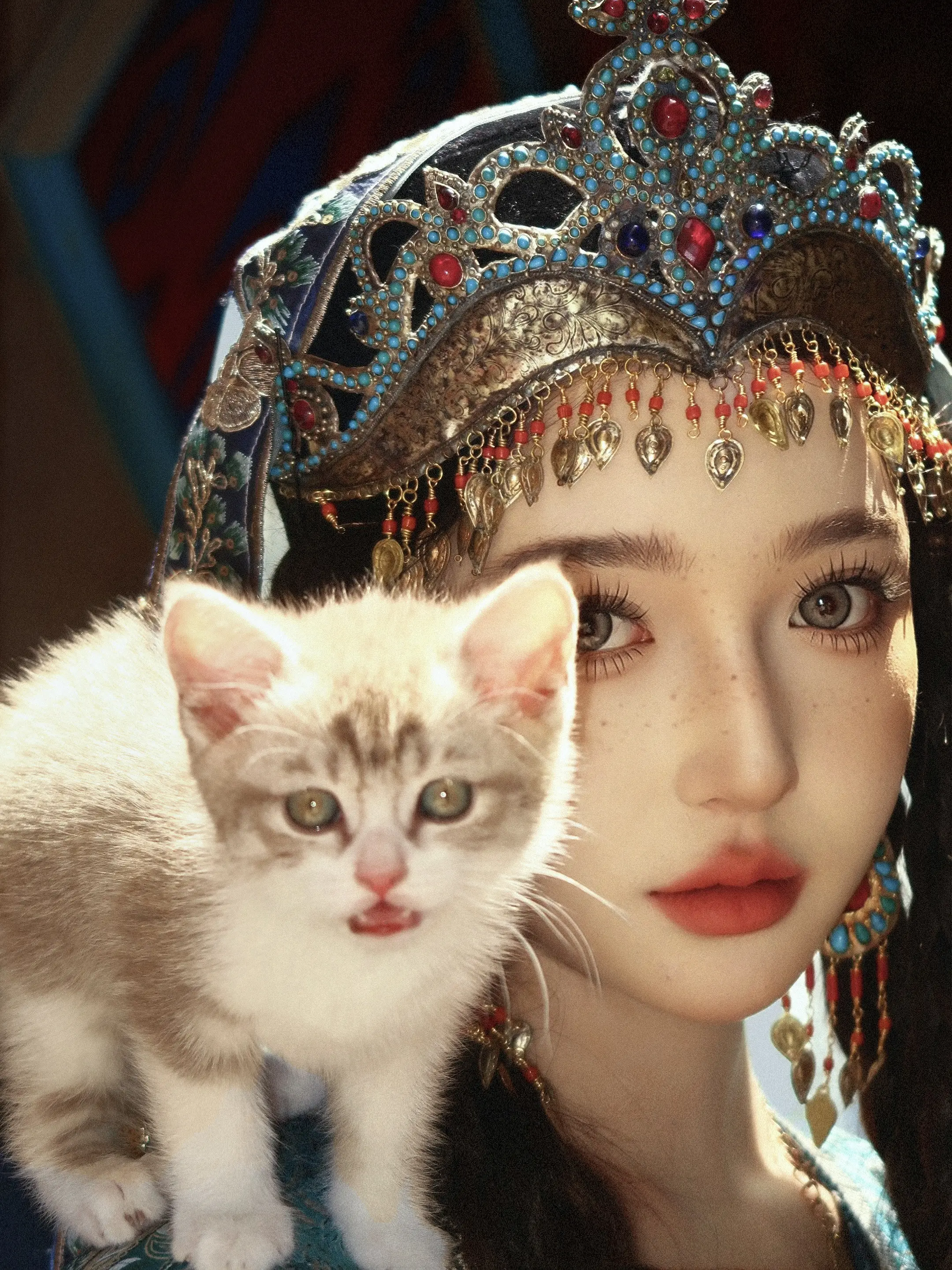 小猫比我会看镜头。