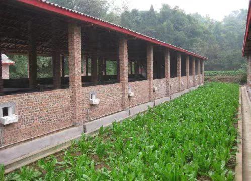 甘肃金昌，男子向银行贷款39万元，不料男子突然去世。银行要求男子前妻还钱。前妻答