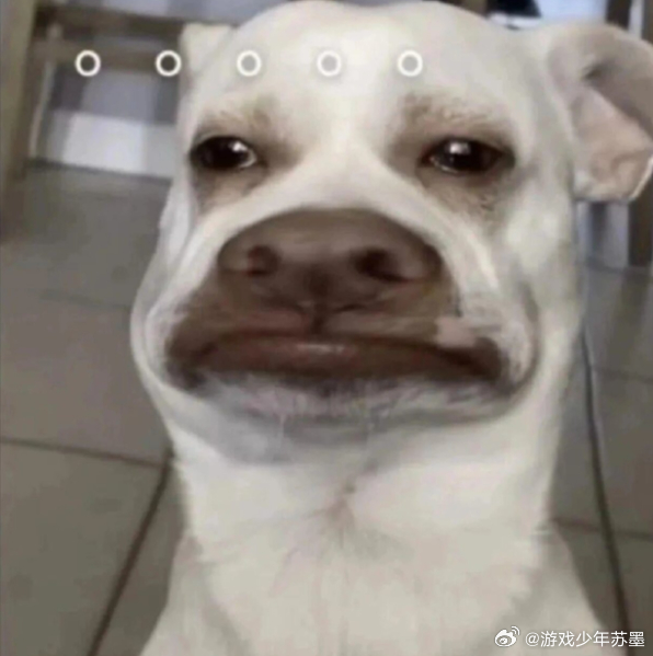 女孩截图假付款 相册里还存着几十张不同金额的假截图，合着是专业逃单的吧？专挑小摊