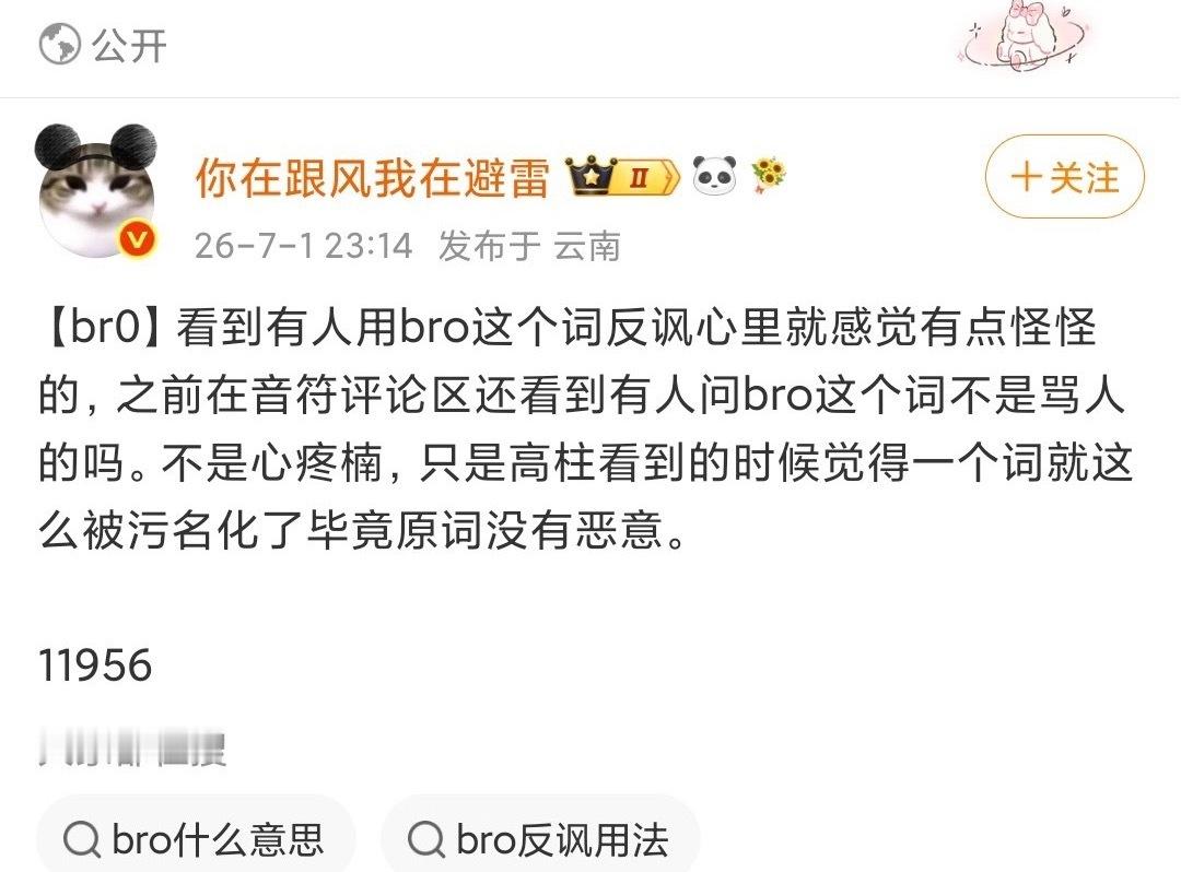 不想看到bro被污名化 