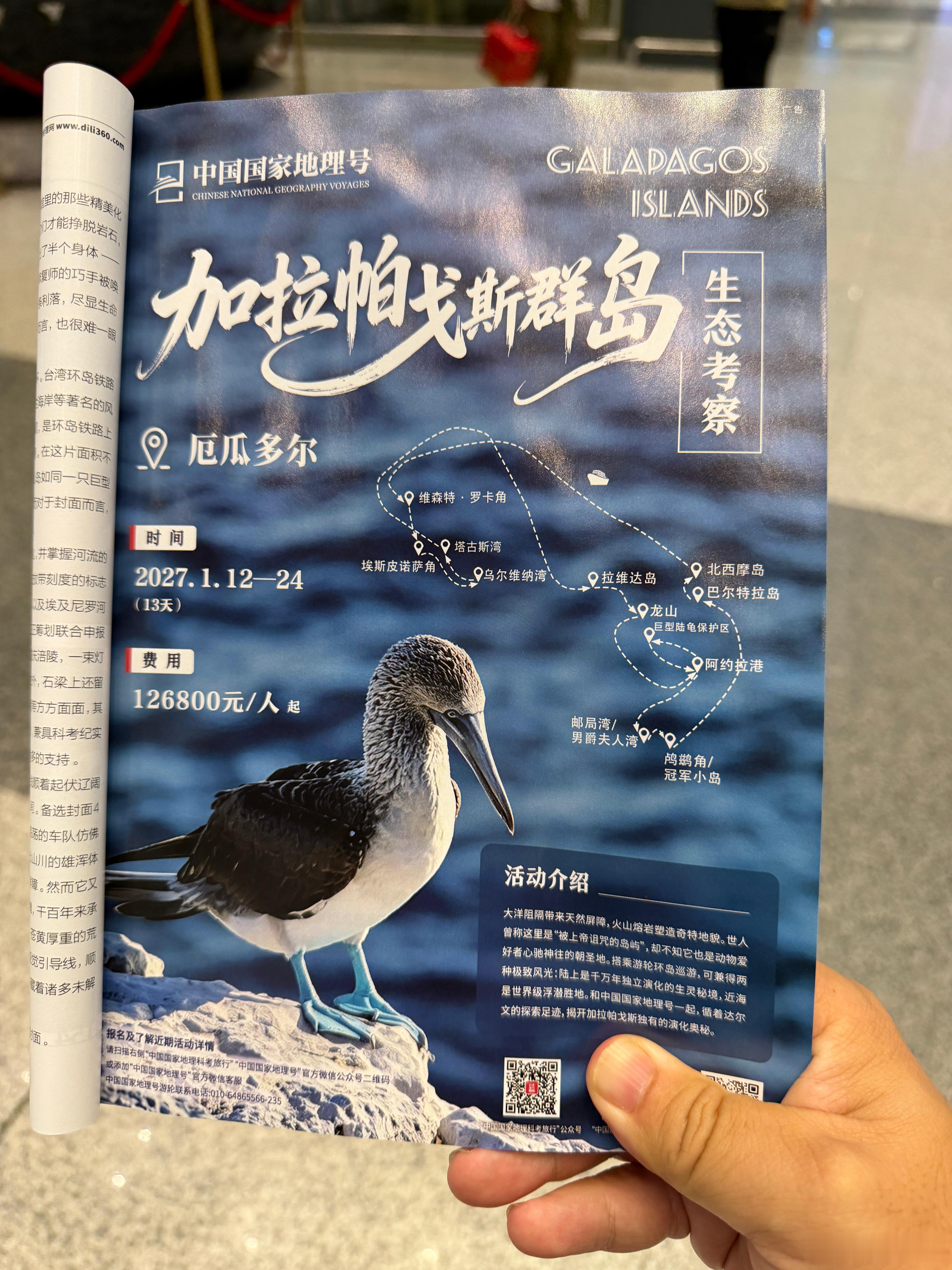 考虑到中国汽车行业和中国旅游行业最近的两大流行趋势，我大胆做一个预言：在汽车媒体