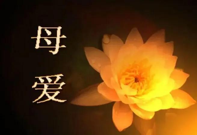 我写的最好的诗歌，就是歌颂母亲和怀念母亲的诗歌。
其中有一句：“从未嫌弃我一无所