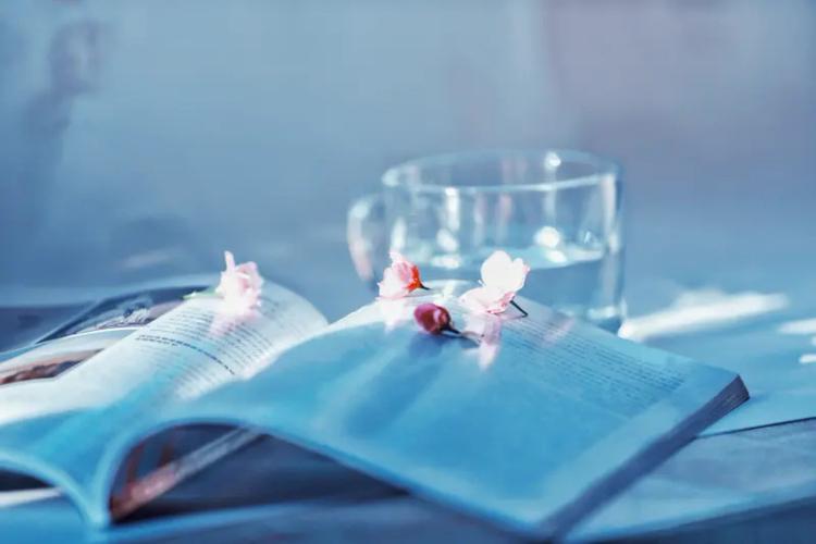 这些句子像一盏盏小灯，它们无法替你照亮整条路，但能在你摸索时，提供方向和慰藉。真