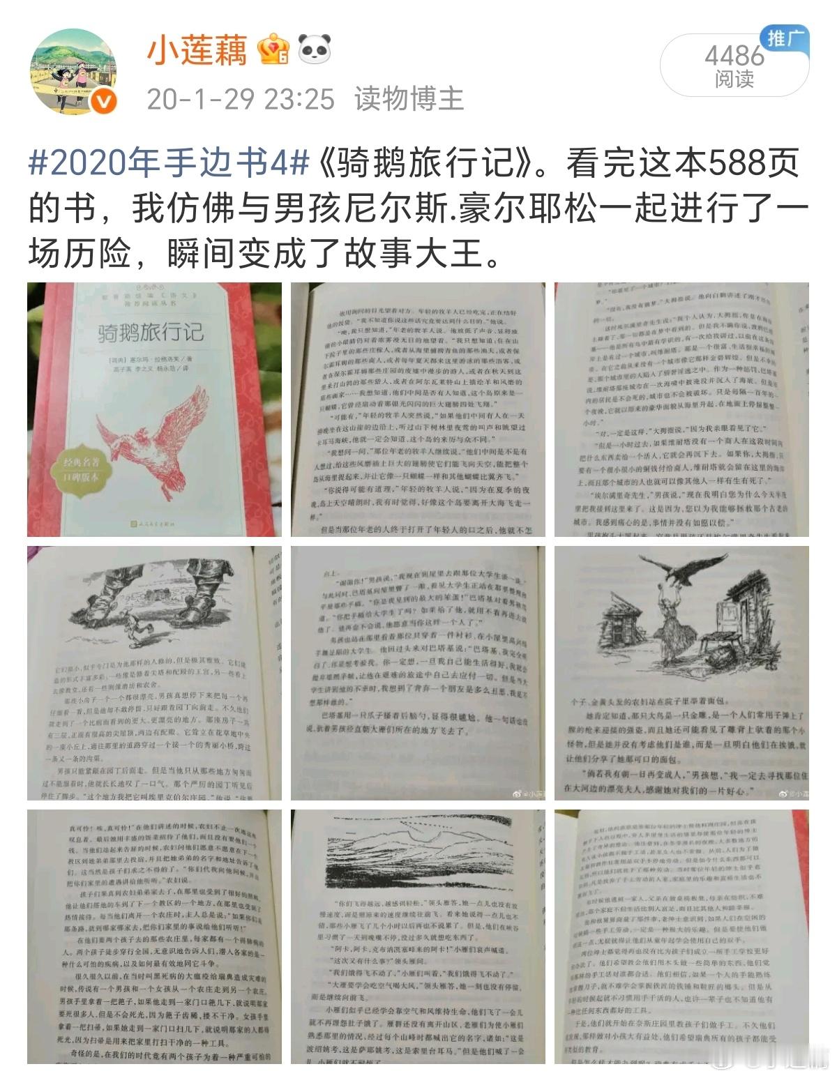 读到这一页，倍感亲切，《骑鹅旅行记》和《哈克贝利.费恩历险记》我和小莲藕曾经都非