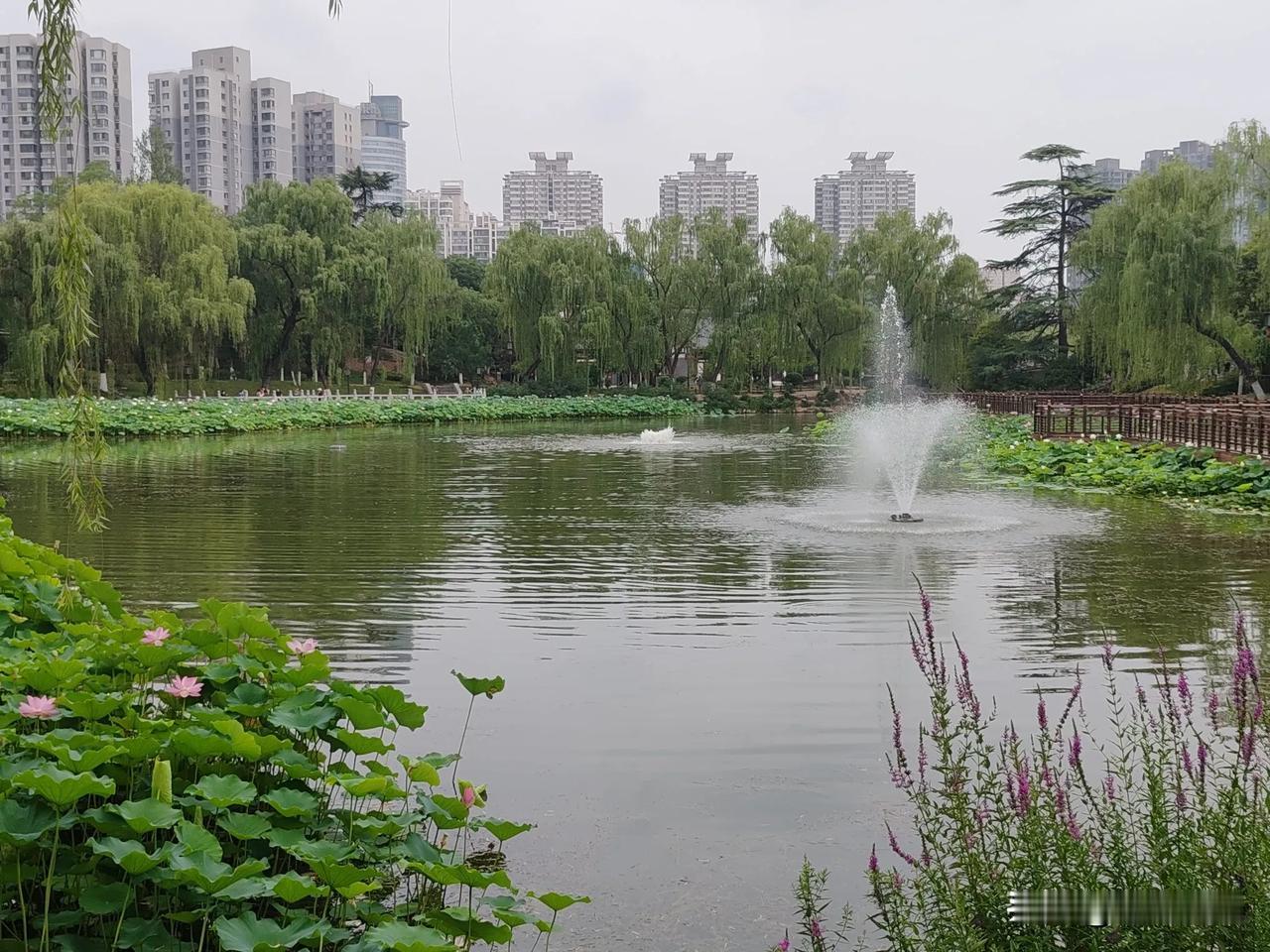 上联:一朵桃花诗百首，邀君赐下联 看到“一朵桃花诗百首”这个上联，瞬间就感觉诗意