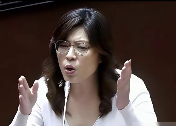 台湾蓝营终于亮牌了！郑丽文曾公开反对“一国两制”，不再模糊回避。这一拳打向何方？