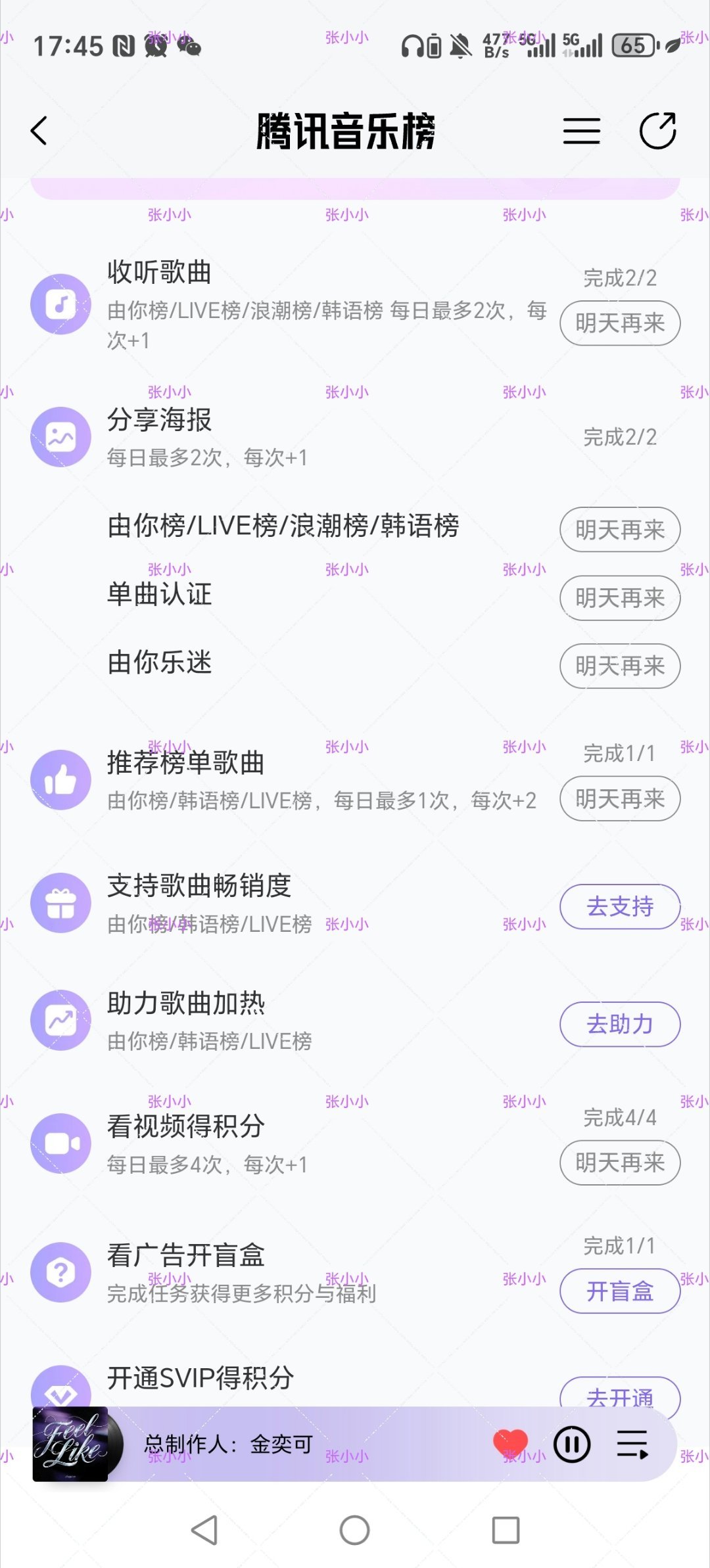 2026.4.4🐧音乐《Feel like》打歌 