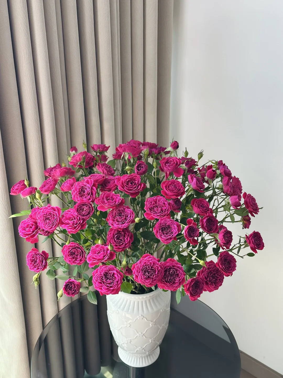 终于养上大网红马里奥塔🌸了