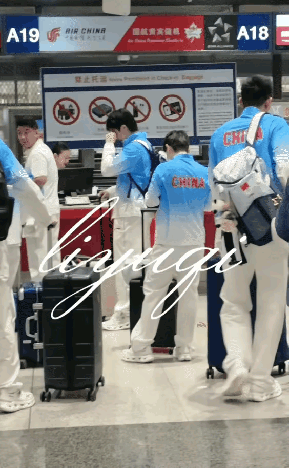 莎莎心想
跟在哥身后
是最安全的，
安心看手机
也没问题，
哥登记完
肯定是
会