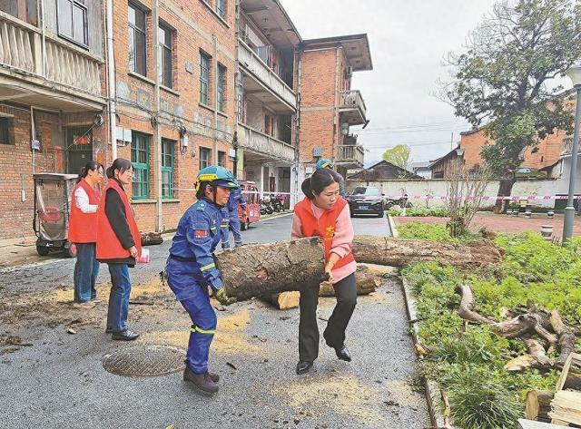 邵武：枯树压楼老人忧志愿者热心排障