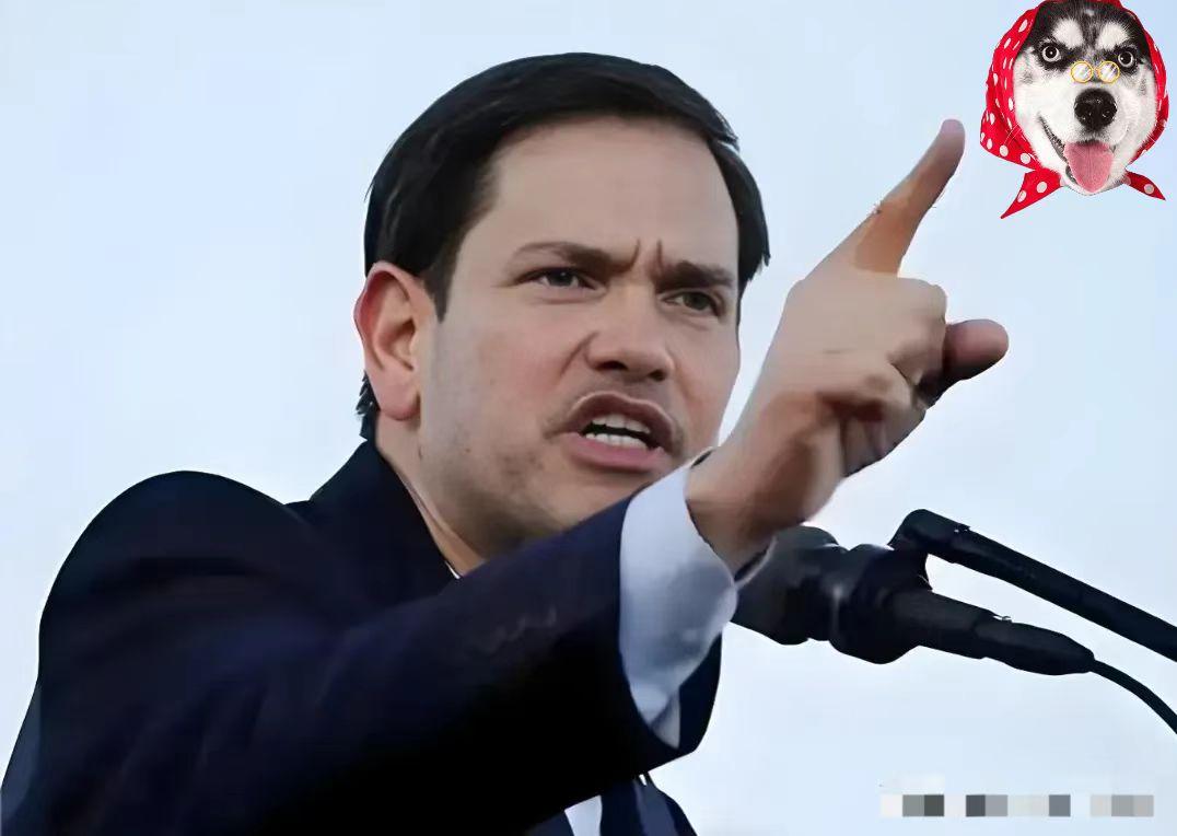 刚刚得知！
 
美国国务卿鲁比奥正式表态！
 
12月3日，美国国务卿鲁比奥在得