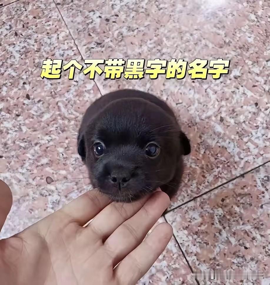 蹲一个神评！