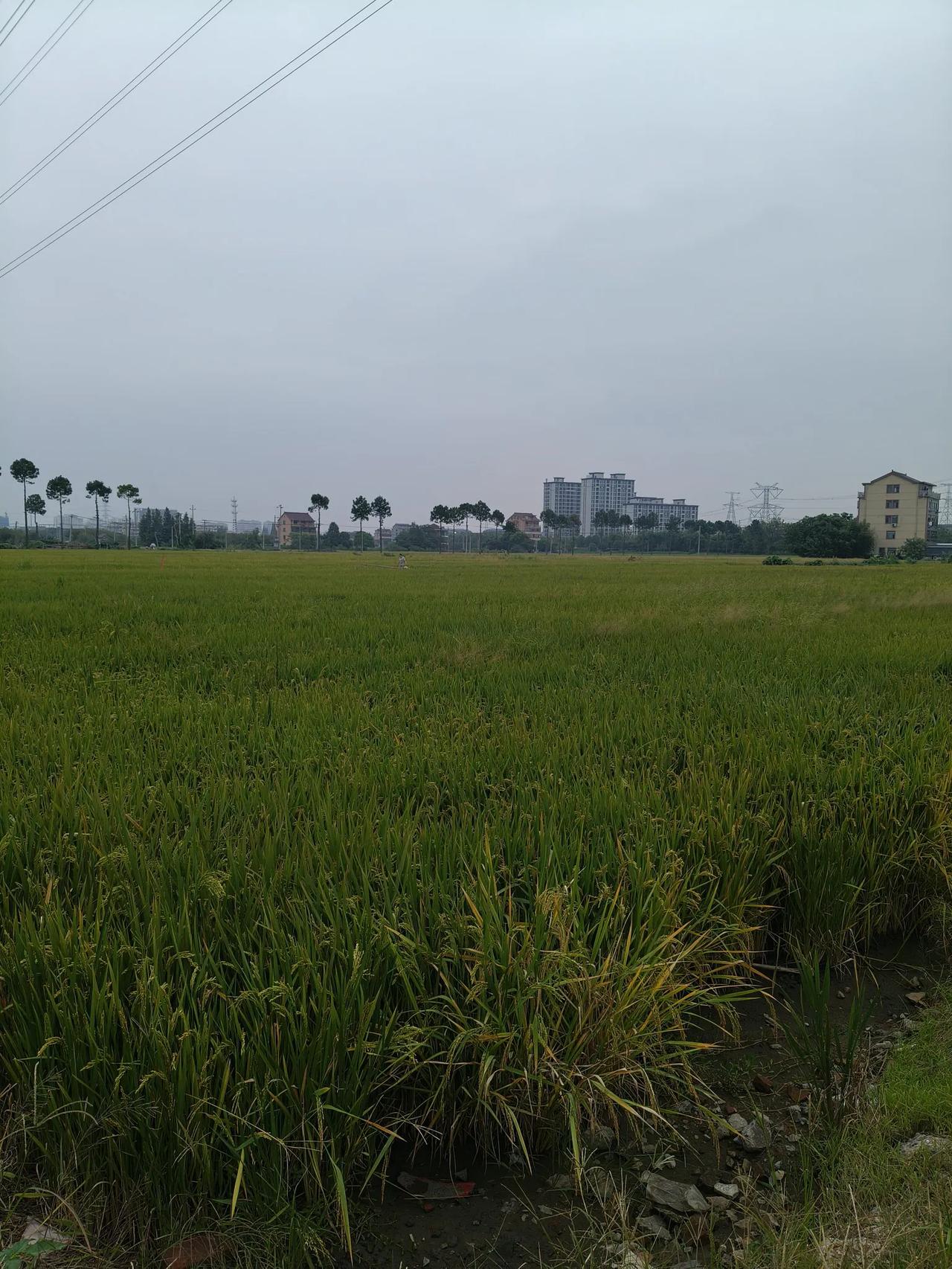 国庆节以后